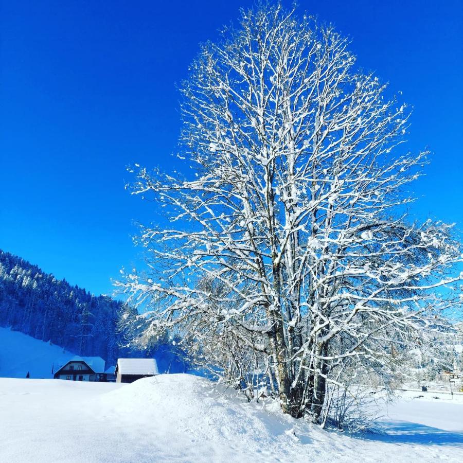 Bed and Breakfast Al Sentiero Di Charly Tarvisio Exteriér fotografie
